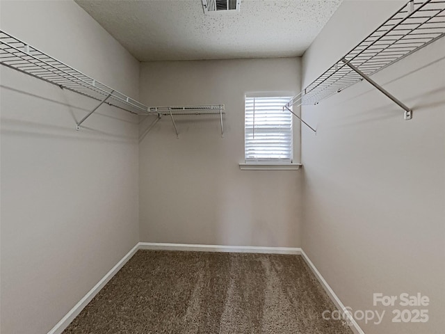 10710 Whithorn Way, Charlotte, NC 28278 - photo 13