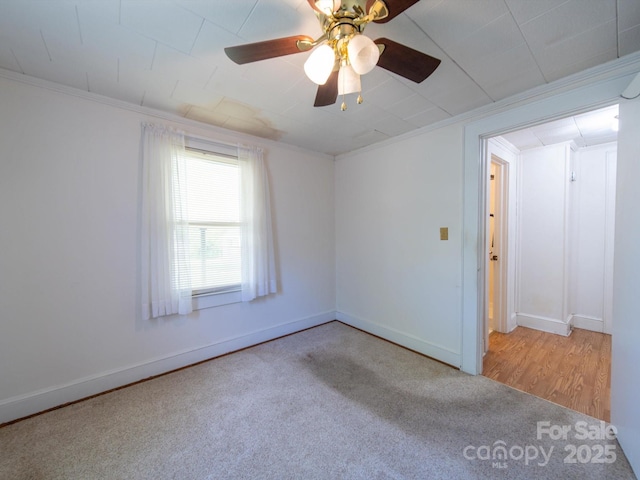 unfurnished room with carpet, baseboards, a ceiling fan, and crown molding