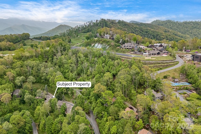 61 Ivy Ridge Rd, Burnsville, NC 28714 - aerial view of property's location featuring a heavily wooded area and mountains