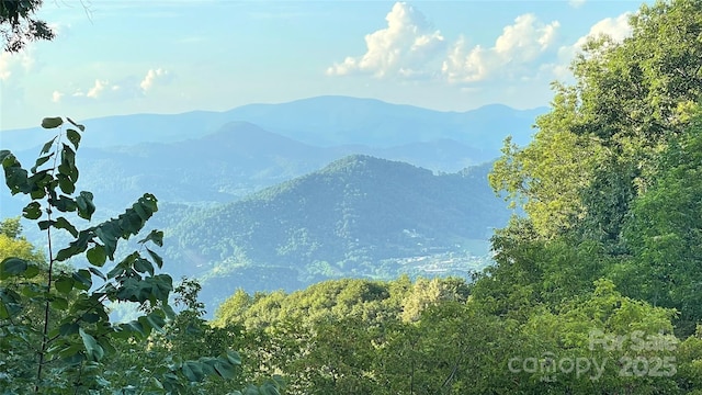 61 Ivy Ridge Rd, Burnsville, NC 28714 - photo 2