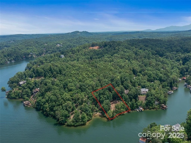 999 Hawthorne Dr, Lake Lure, NC 28746