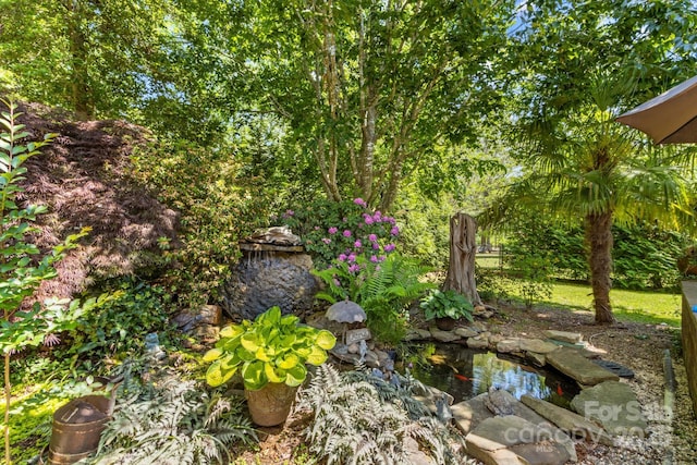 3755 River Rd, Richfield, NC 28137 - view of yard featuring a small pond