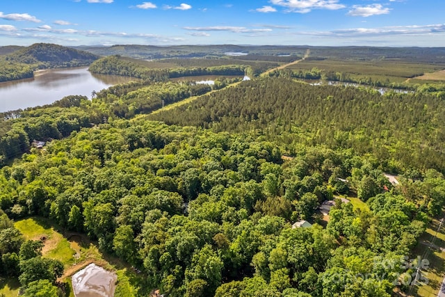 3755 River Rd, Richfield, NC 28137 - aerial view of a forest and a nearby body of water