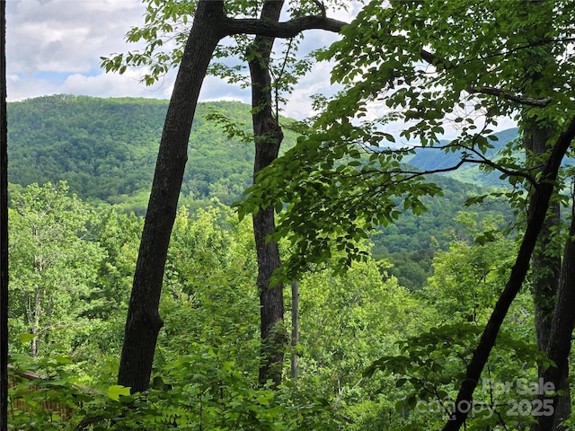 LOT230 Swallow Ln, Lake Lure, NC 28746