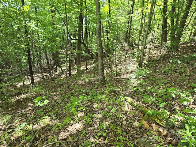 LOT230 Swallow Ln, Lake Lure, NC 28746