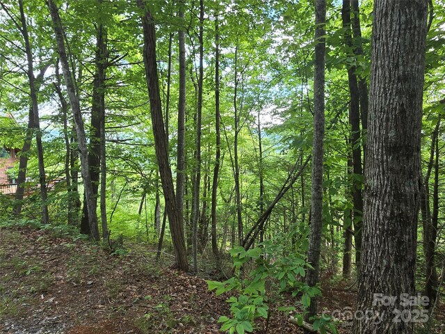 LOT230 Swallow Ln, Lake Lure, NC 28746