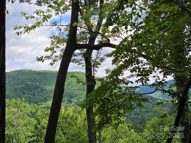 LOT230 Swallow Ln, Lake Lure, NC 28746