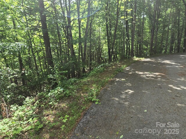 LOT230 Swallow Ln, Lake Lure, NC 28746