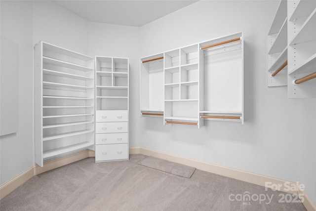 16108 Woolwine Rd, Charlotte, NC 28278 - walk in closet with carpet floors