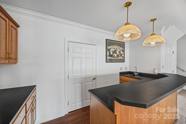 16108 Woolwine Rd, Charlotte, NC 28278 - kitchen with dark countertops, ornamental molding, brown cabinetry, a sink, and dark wood-style flooring