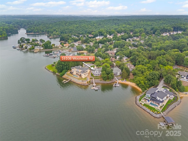 16108 Woolwine Rd, Charlotte, NC 28278 - aerial view of a forest and a large body of water