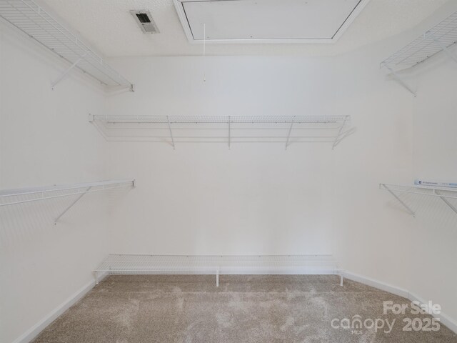 12317 Panthersville Dr, Charlotte, NC 28269 - photo 22