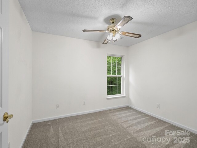12317 Panthersville Dr, Charlotte, NC 28269 - photo 23