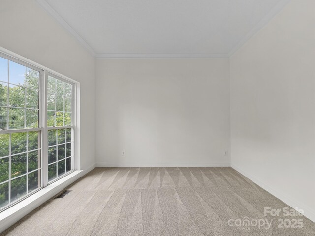 12317 Panthersville Dr, Charlotte, NC 28269 - photo 13