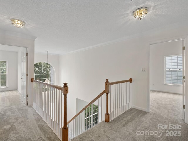 12317 Panthersville Dr, Charlotte, NC 28269 - photo 18
