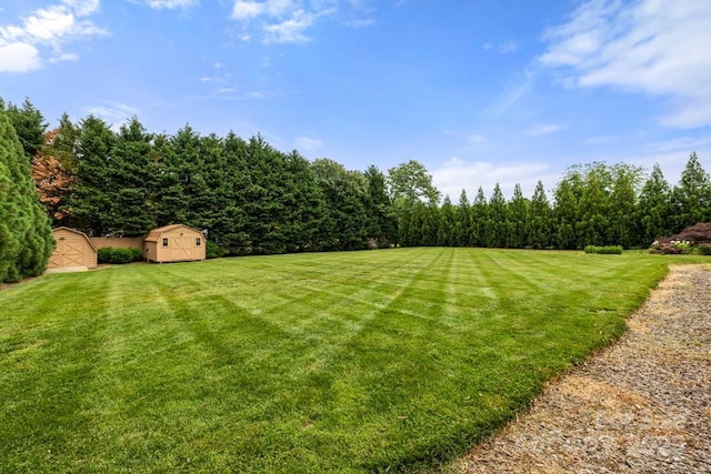 12117 Idlewild Rd, Matthews, NC 28105 - view of green lawn featuring a storage unit, an outdoor structure, and a forest view