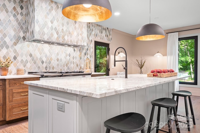 4316 Old Saybrook Ct, Charlotte, NC 28211 - kitchen with plenty of natural light, light wood-style floors, and light stone counters