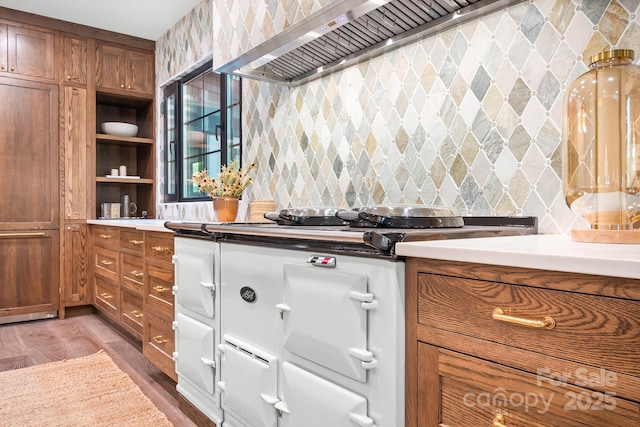 4316 Old Saybrook Ct, Charlotte, NC 28211 - bar area with gas range oven, light wood-style floors, premium range hood, and backsplash