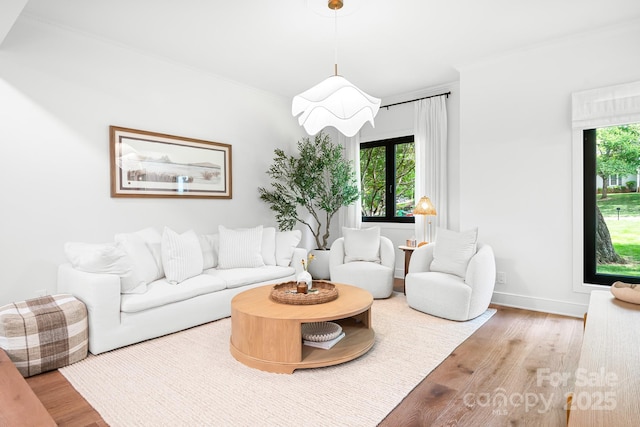 4316 Old Saybrook Ct, Charlotte, NC 28211 - living area featuring wood finished floors, crown molding, and baseboards