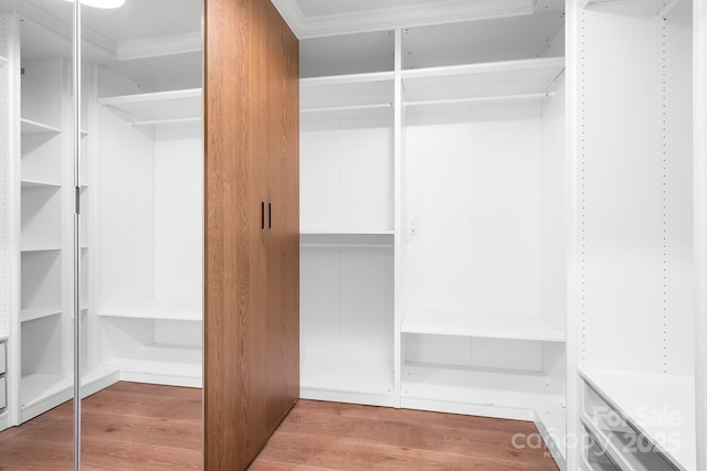 4316 Old Saybrook Ct, Charlotte, NC 28211 - walk in closet featuring wood finished floors