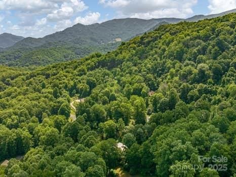 55 Christine Ct, Waynesville, NC 28786 - view of mountain backdrop featuring a forest