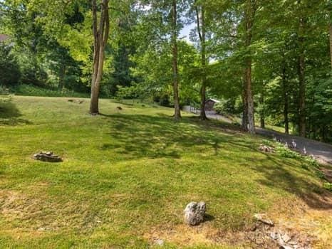 55 Christine Ct, Waynesville, NC 28786 - view of grassy yard