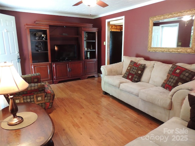 living room with a ceiling fan, light wood-style flooring, and crown molding