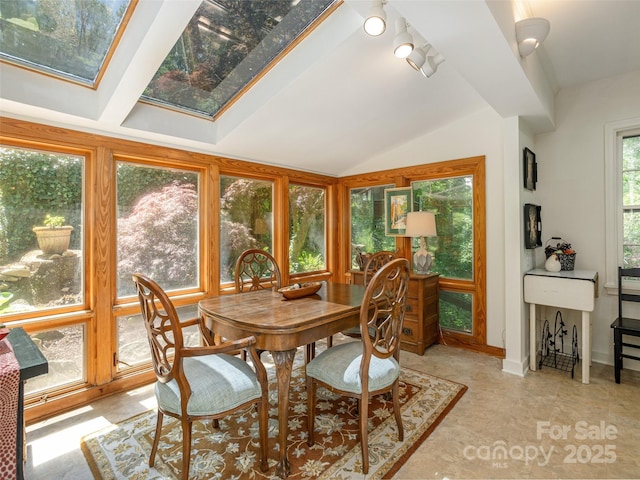 203 Lake Dr, Hendersonville, NC 28739 - sunroom / solarium featuring vaulted ceiling with skylight