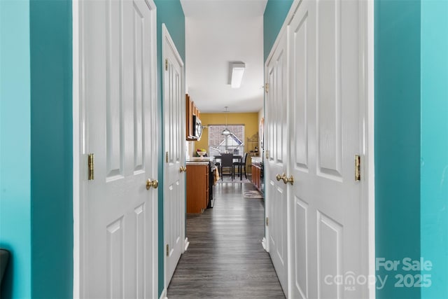 hall featuring dark wood-style flooring