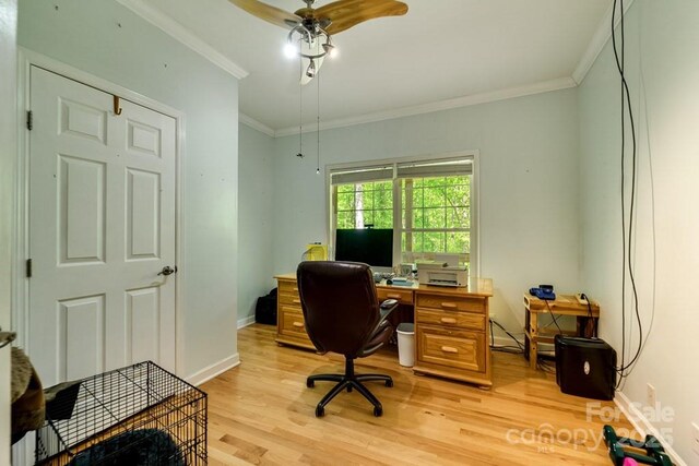 910 Hannah Mountain Rd, Otto, NC 28763 - office area featuring a ceiling fan, crown molding, light wood-type flooring, and baseboards