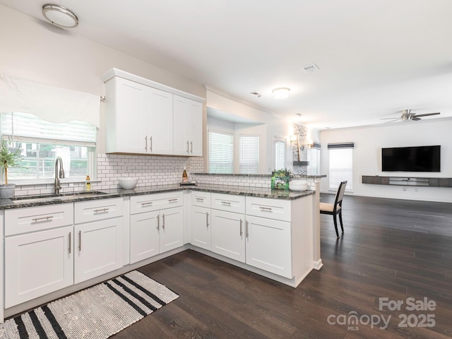 3626 Cole Mill Rd, Charlotte, NC 28270 - kitchen with a sink, a peninsula, plenty of natural light, and tasteful backsplash