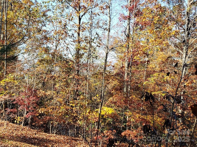TBD Top Oaks Ln Lot 58, Pisgah Forest, NC 28768
