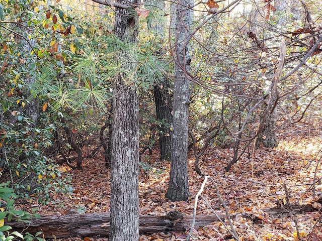 TBD Top Oaks Ln Lot 58, Pisgah Forest, NC 28768