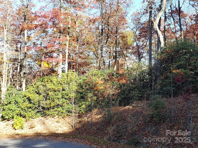 TBD Top Oaks Ln Lot 58, Pisgah Forest, NC 28768