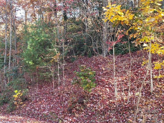 TBD Top Oaks Ln Lot 58, Pisgah Forest, NC 28768