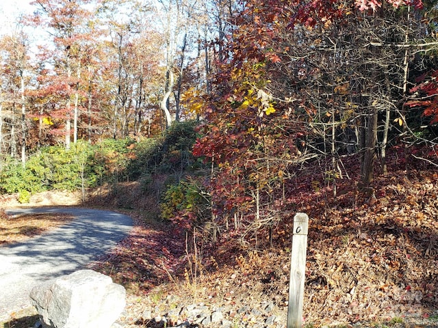 TBD Top Oaks Ln Lot 58, Pisgah Forest, NC 28768