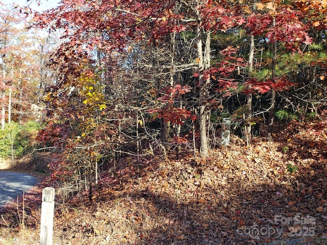 TBD Top Oaks Ln Lot 58, Pisgah Forest, NC 28768