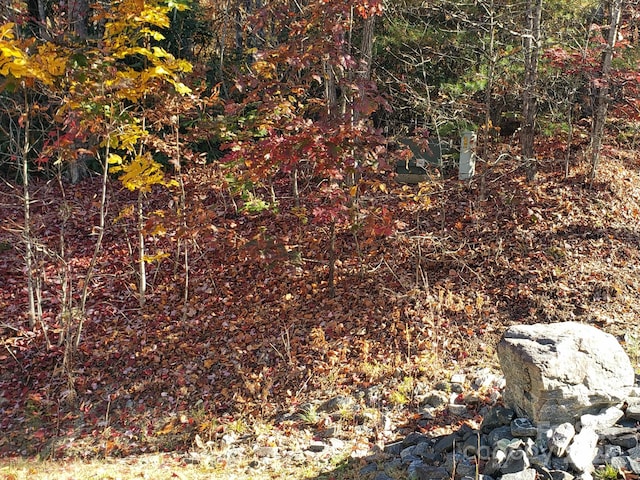 TBD Top Oaks Ln Lot 58, Pisgah Forest, NC 28768