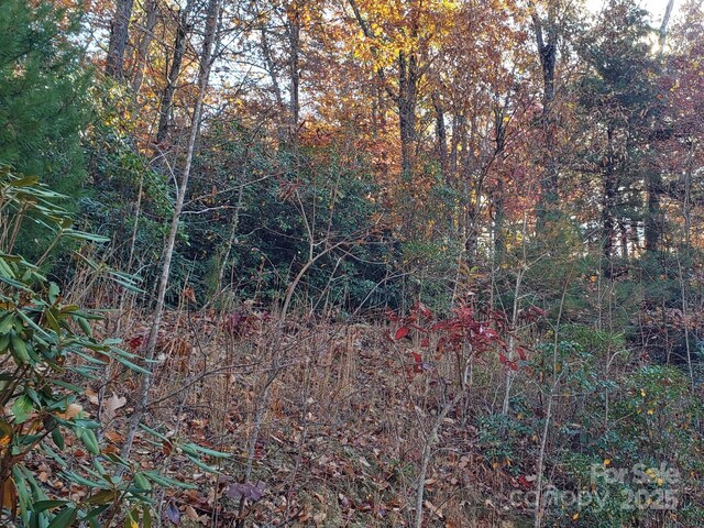 TBD Top Oaks Ln Lot 58, Pisgah Forest, NC 28768