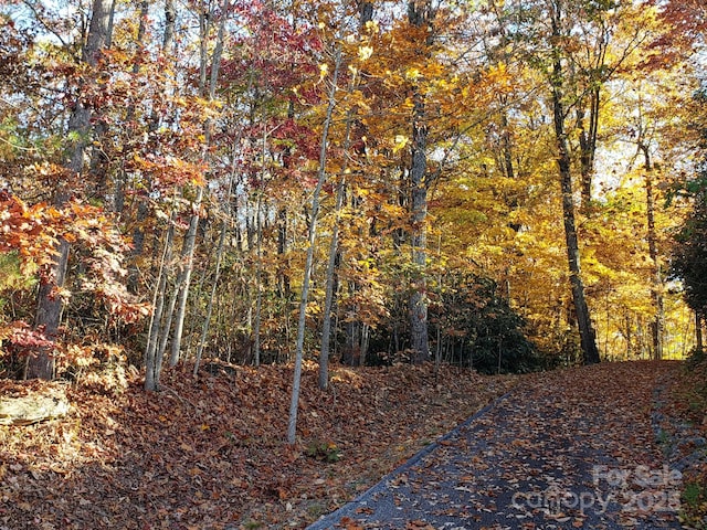 TBD Top Oaks Ln Lot 58, Pisgah Forest, NC 28768