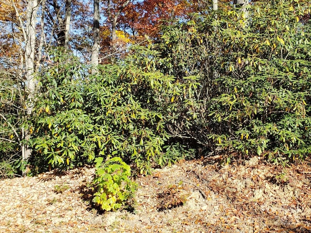 TBD Top Oaks Ln Lot 58, Pisgah Forest, NC 28768