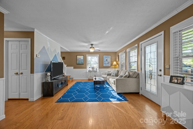 25 Alpine Way, Clyde, NC 28721 - living room with wood finished floors, wainscoting, ceiling fan, a textured ceiling, and ornamental molding
