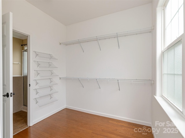 15 Dansford Ln, Arden, NC 28704 - spacious closet featuring wood finished floors