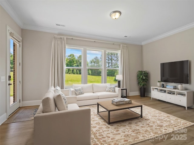 709 Cavesson Way, Monroe, NC 28110 - living area featuring ornamental molding and wood finished floors