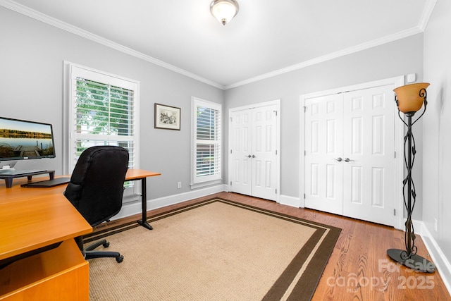 office space with crown molding, baseboards, and wood finished floors