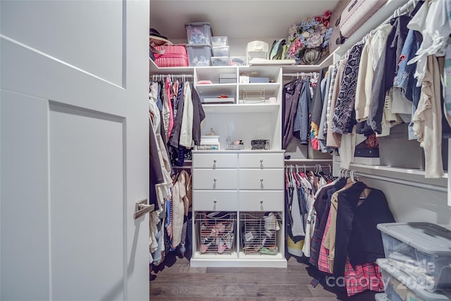 spacious closet featuring wood finished floors