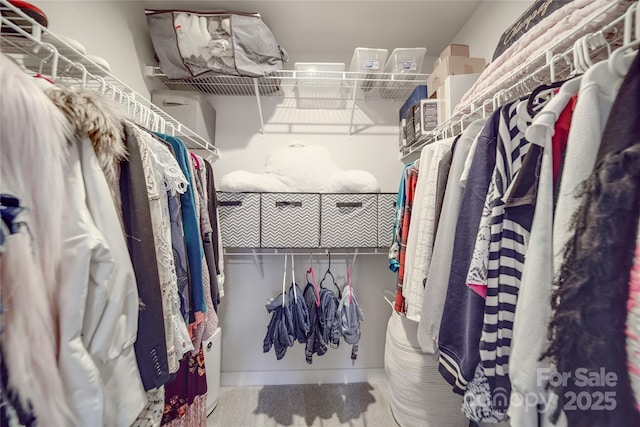 spacious closet with carpet floors