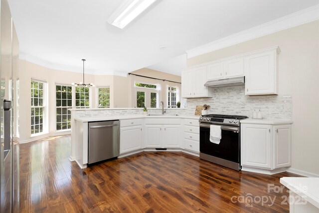 1465 Porters Ct, Concord, NC 28025 - kitchen with stainless steel appliances, a sink, under cabinet range hood, a peninsula, and tasteful backsplash