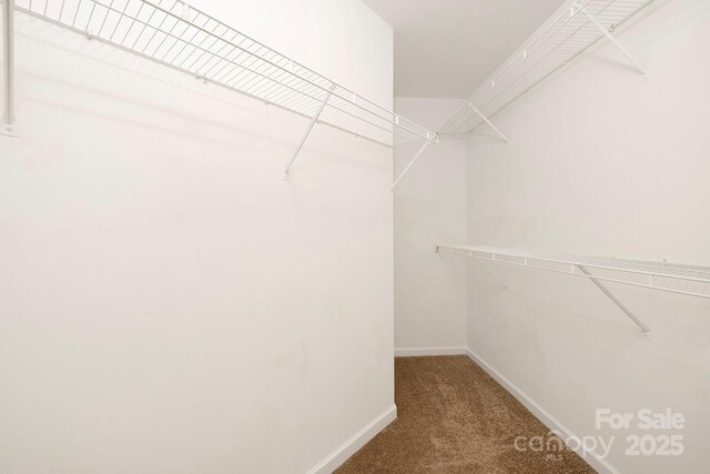 1465 Porters Ct, Concord, NC 28025 - spacious closet with carpet flooring