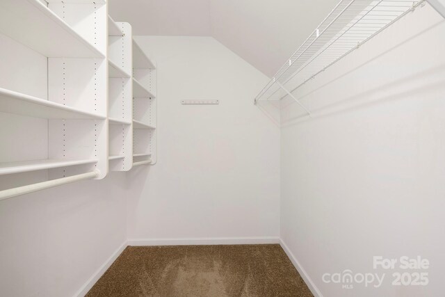 1465 Porters Ct, Concord, NC 28025 - walk in closet featuring carpet flooring and vaulted ceiling